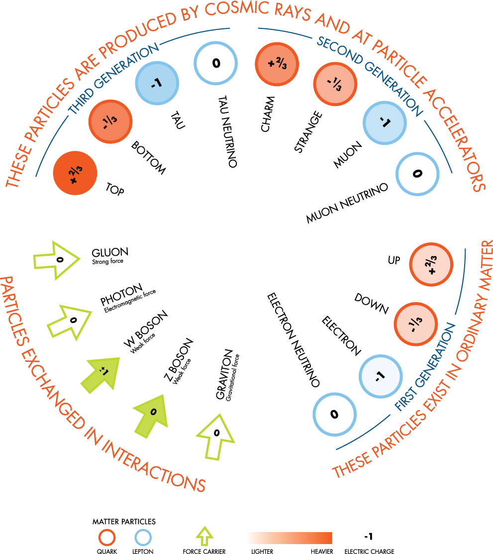 The fundamental particles